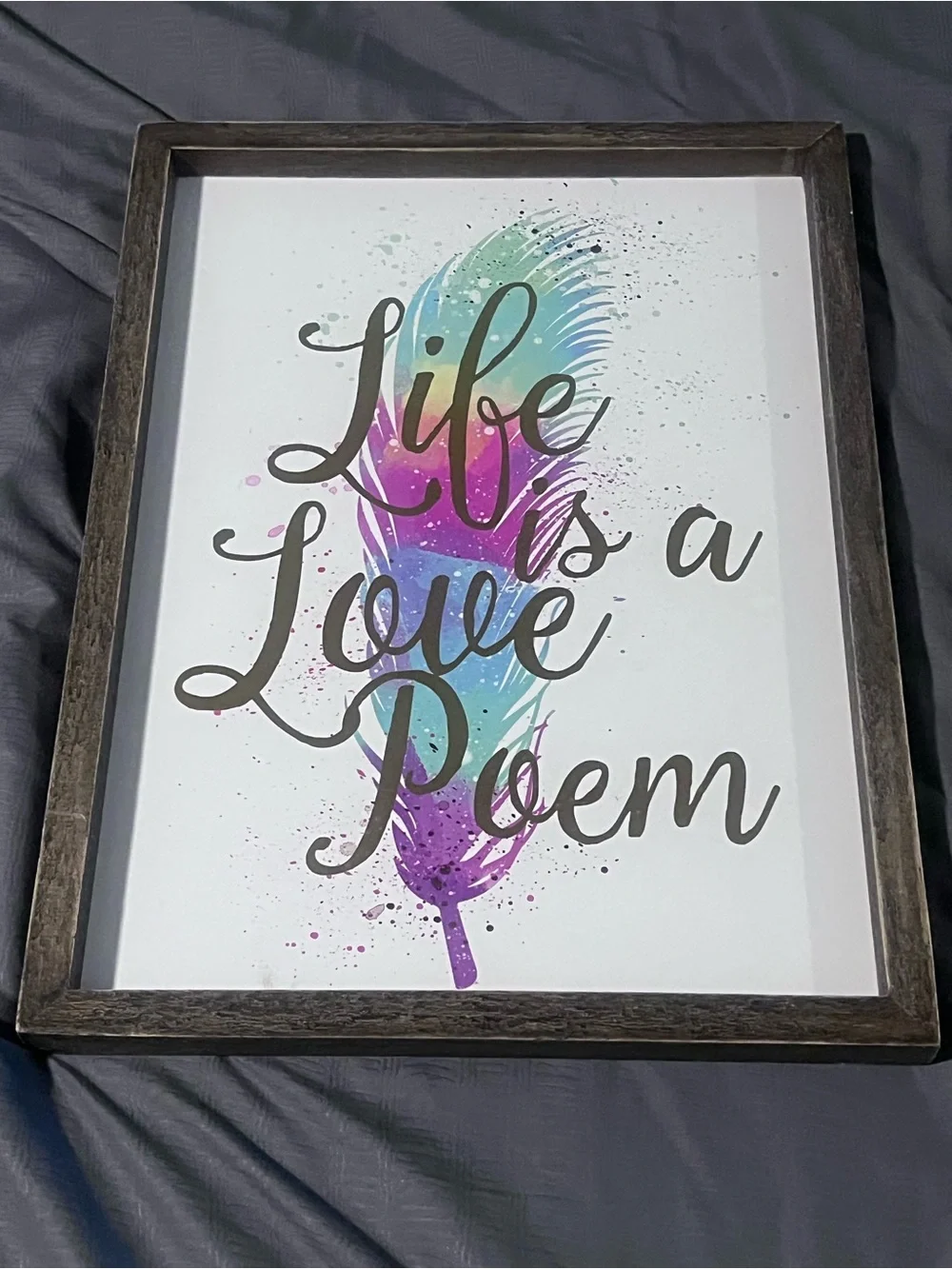 Framed Feather Quote Wall Art - Multicolor